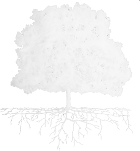 Icon of an oak tree showing root structure